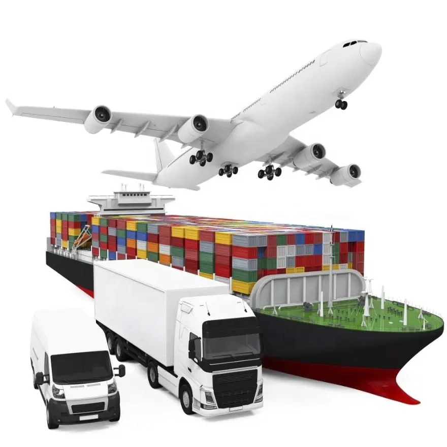 Professional Sea Freight Qingdao Shipping Agent To BELAWAN/JAKARTA/SEMARANG/SURABAYA Port
