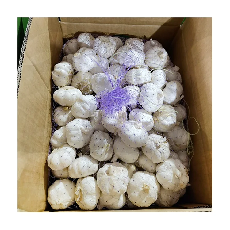 Chinese white garlic newest crop 10kg carton wholesale best price pure white garlic 10kg box fresh garlic