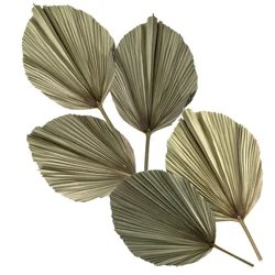 Air Dried Flower Trimmed Fan Palm Leaf For Home Decoration Artificial Flowers Decoration Dried Organic Palm Leaves from Vietnam