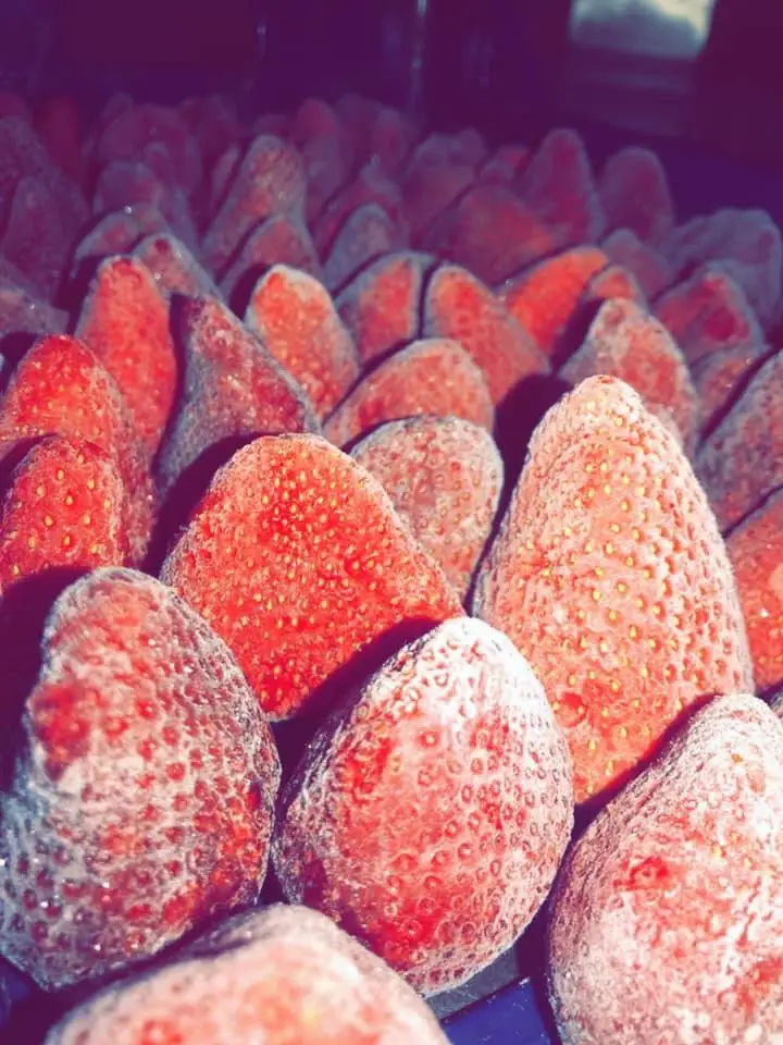 Bulk New Frozen Ball Store Whole Strawberry Fruit From Egypt For Export