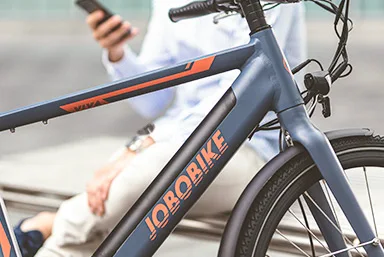 Wholesale Custom 36V Cruiser Electric Bicycle EU Warehouse 700C 250W Bicicleta for Women Electric Mountain Bike 250W Ebike Motor