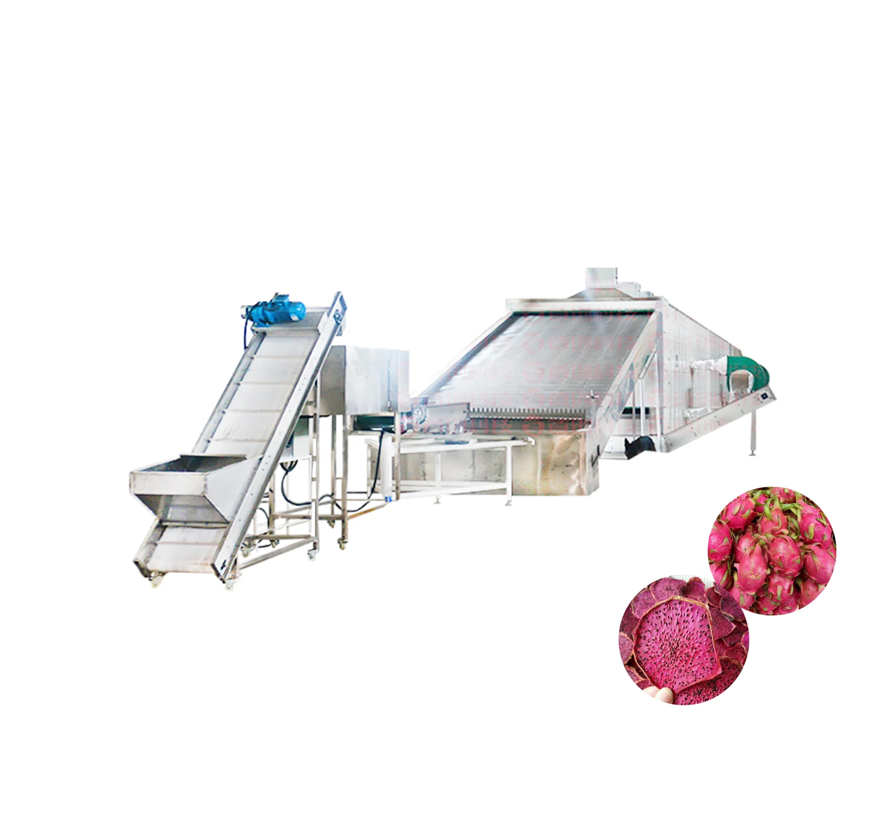 20Tons Daily Processing Capacity Pitaya/Cantaloupe/Peach/Apple/Apricot Dried Fruit Drying Machine