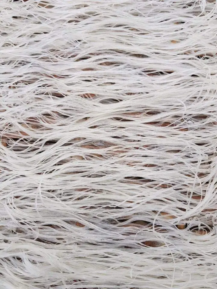 Vietnamese Vermicelli Rong / Dao Organic Purity Gain Product Healthy Tasty Sugar-Free No Preservatives