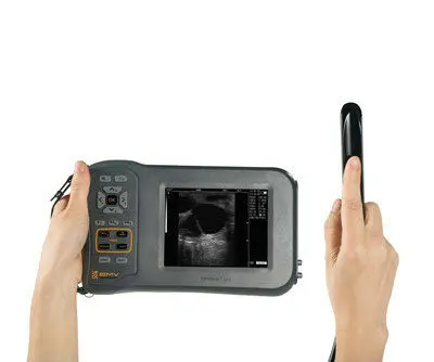 BMV Farmscan L60 свинья крупный рогатый скот коровы бычьи беременные ветеринарное оборудование для крупных животных