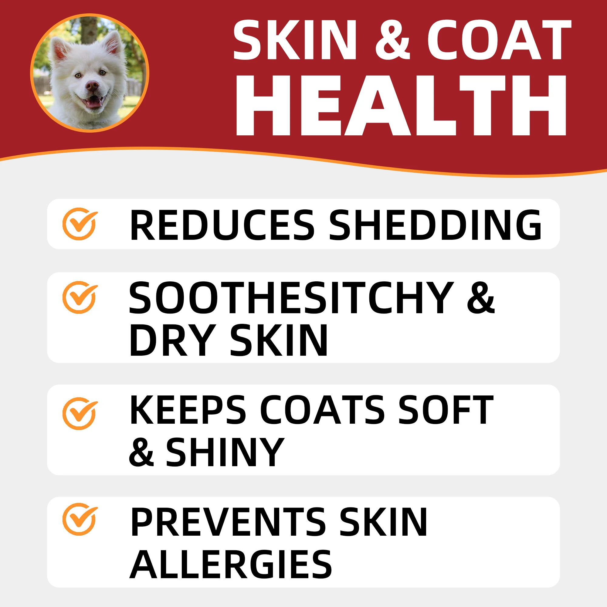 OEM ODM factory custom private label pet nutrition wholesale for dog and cat freeze dried salmon supplement treat chews food