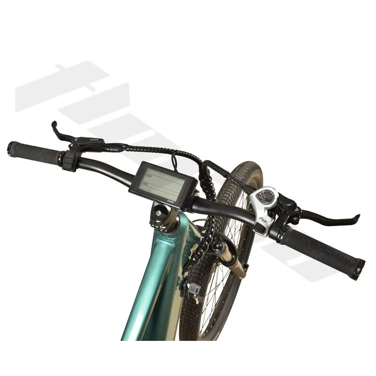 TLOFAO mountain motor 36v 250W electric bicycle suspension disc brake electric bike 7-speed electric mountain bike