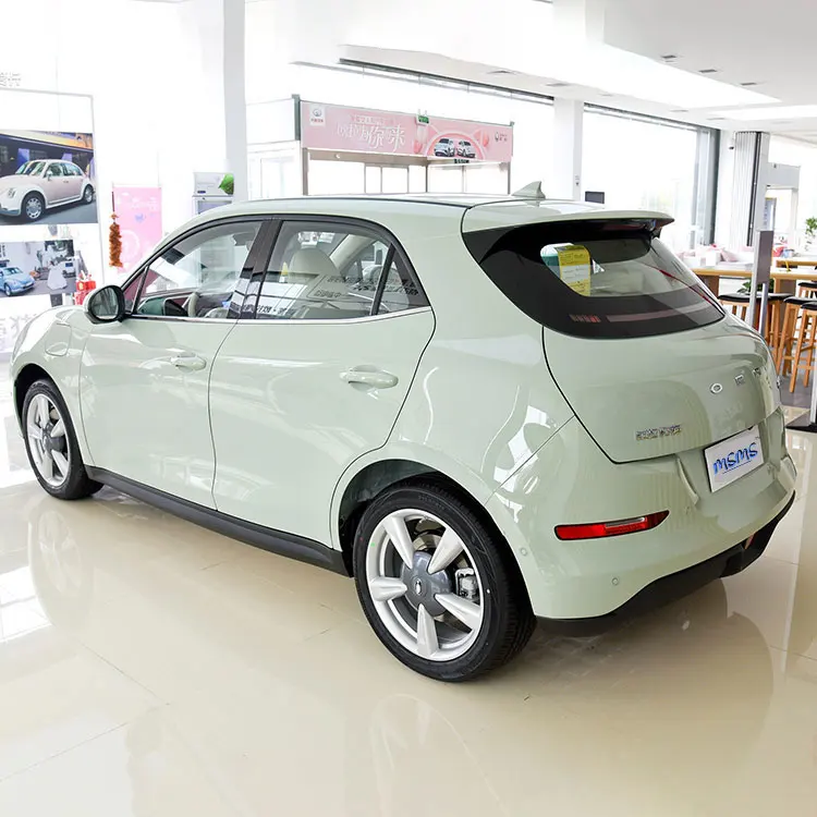 New 2022 Small New Energy Vehicle Hot Selling Chinese Euler Good Cat 401km Standard Endurance Type Mini Electric Used Car