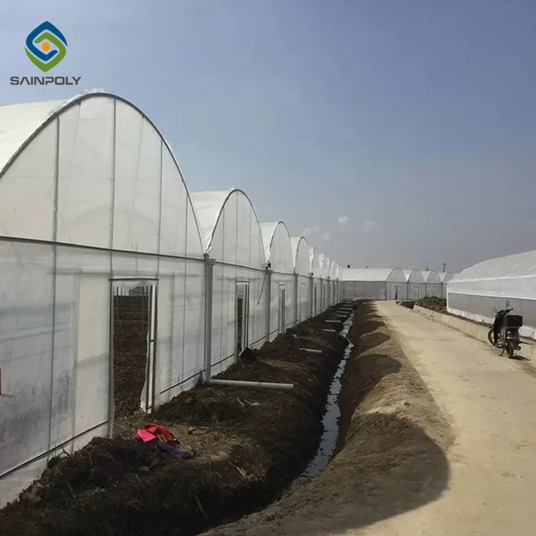 Sainpoly Agricultural Greenhouses Plastic Films Green Large Small Sizes