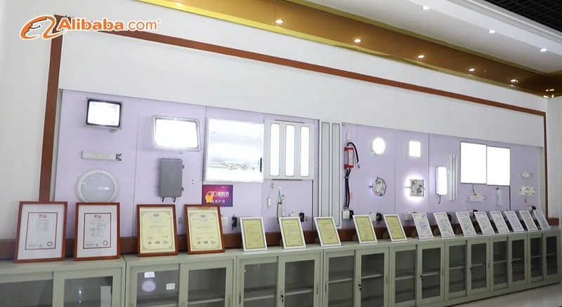 led emergency driver