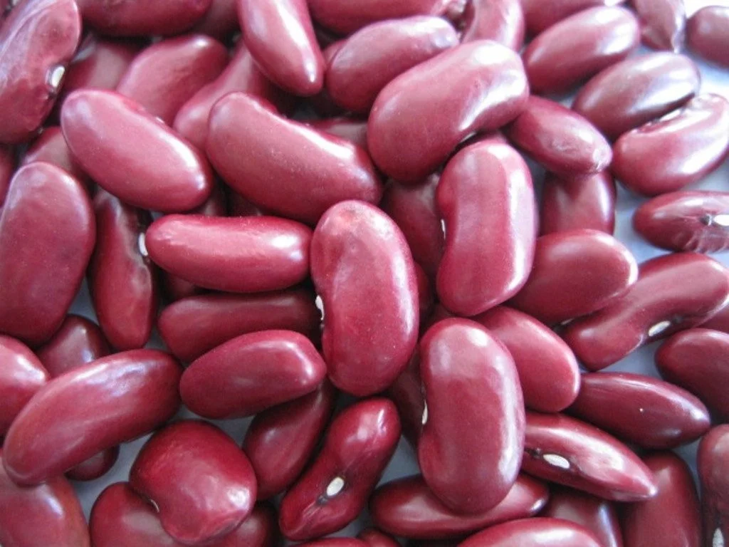 Wholesale Pinto Red Beans Speckled Kidney Beans