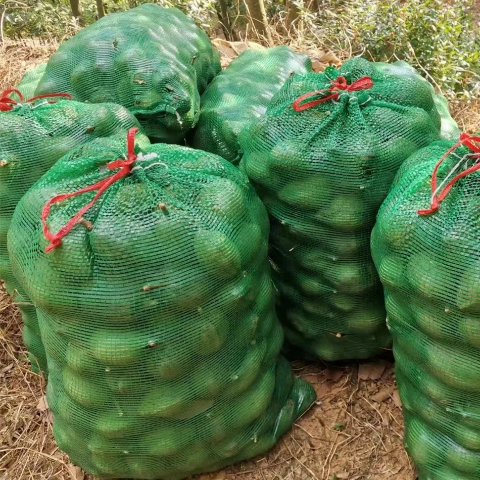 Agriculture Leno mesh bag recyclable PP drawstring mesh bags for onions potatoes vegetables carrot cabbage pepper orange lime