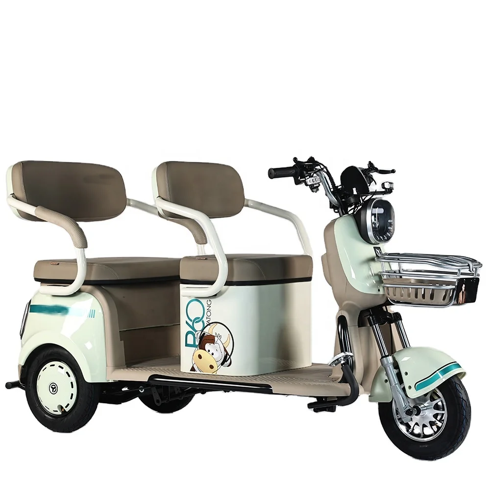 650W Electric Tricycle Bike Cheap Electric Tricycle For Adults electric bike with3 wheels for person.