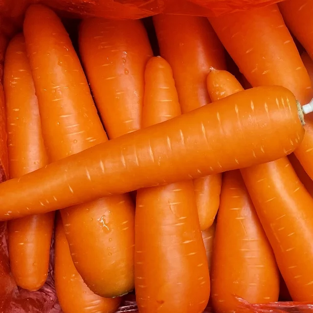 4kg China Fresh Carrot Export Oman  80-150g