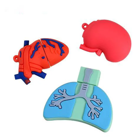Cartoon Viscera Heart Lung Liver  Usb Flash Drive 2.0 3.0  64gb 32gb 16gb 8gb 4gb Cardiac Usb Stick  Human Organ Pen Drive