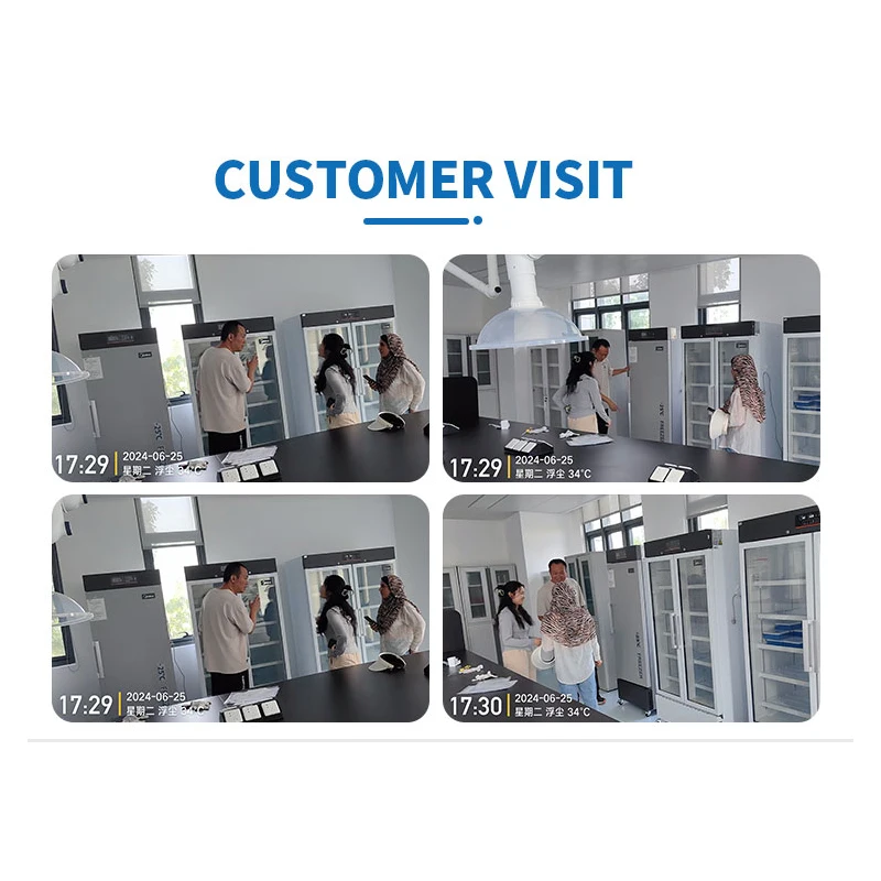 Gas Chromatograph Mass Spectrometer Gas Chromatography Machine Lab Instrument