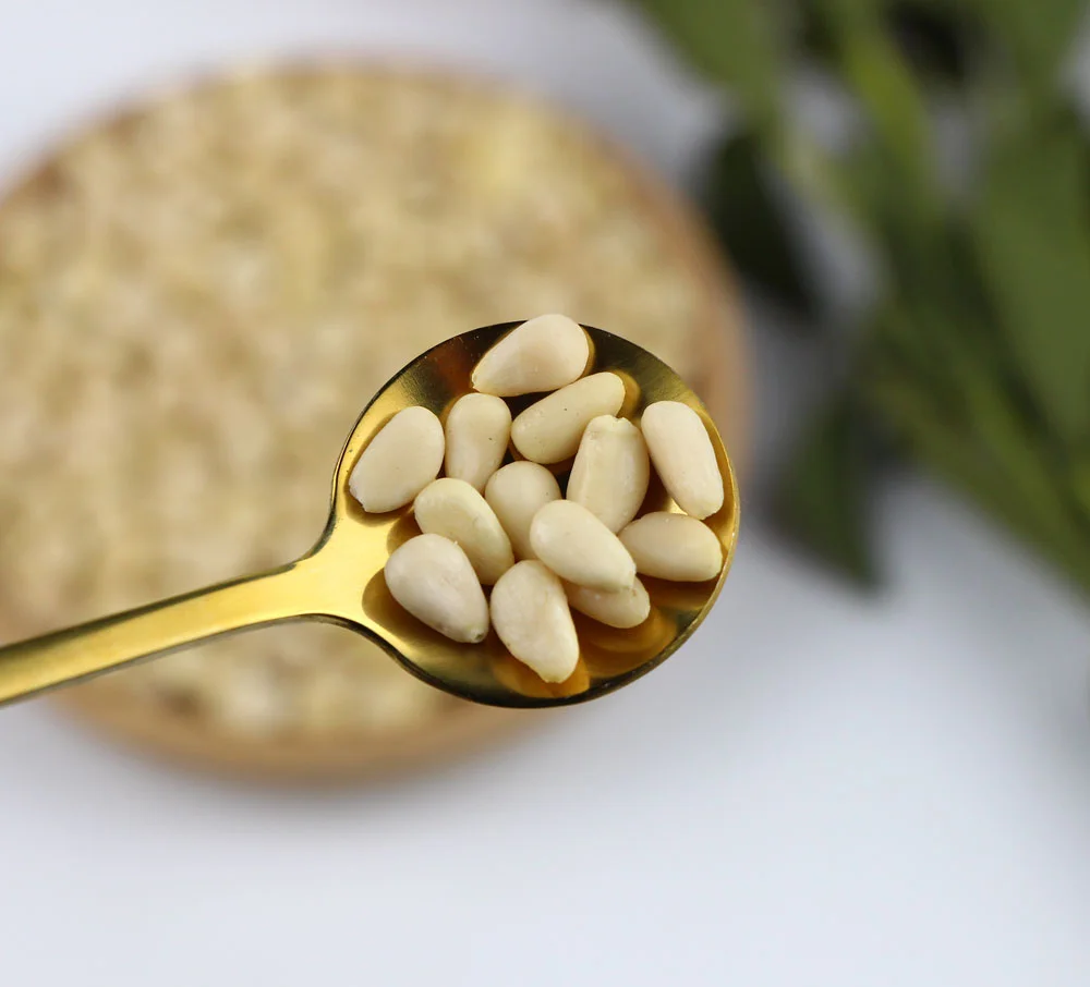 Wholesale high quality wild cedar pine nuts