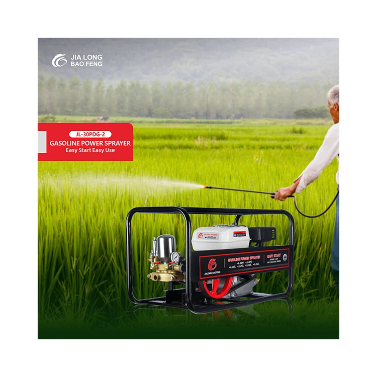 Agricultural Wheat Straw Portable High Pressure Gasoline Power Sprayer Spray Pump Machine