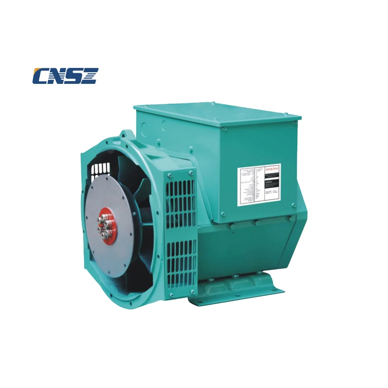 2021 New 7.5KW 1500rpm 1800rpm AC Single Phase Synchronous Alternator for Diesel Generator (62561551310)