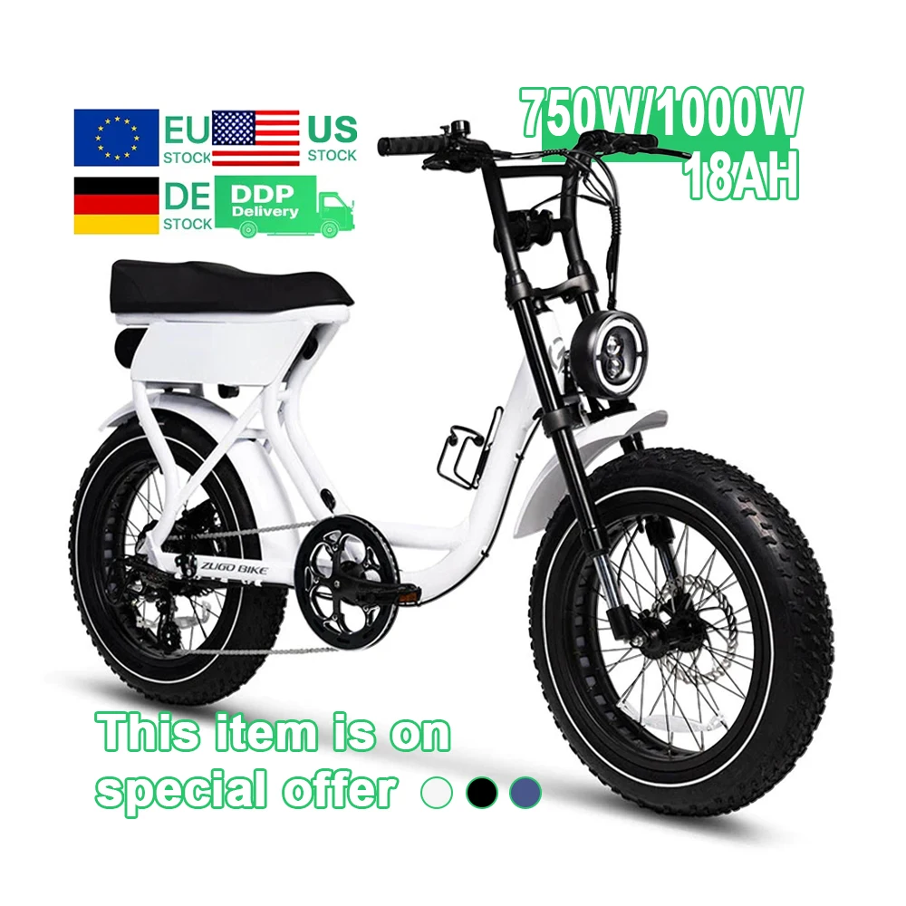 EU/US Stock Hybrid 20 Inch Electric Mountain Bike with 1000W Fat Tire 48V Lithium Battery down Tube 250W-750W City Ebike
