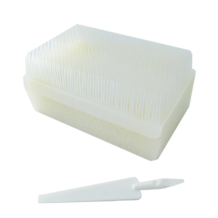 Disposable medical hand cleaning sterile dry Surgical scrub brush with nail cleaner dry surgical brush