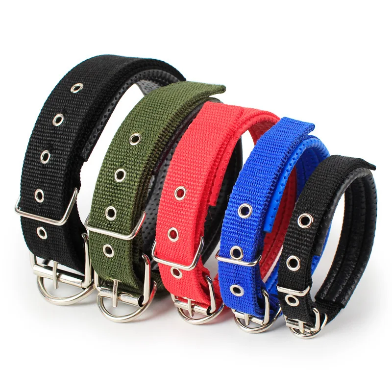 Pet Dog Collar Wholesale Multi- color Nylon Padded Pet Collar Adjustable Buckle Cat Dog Collar