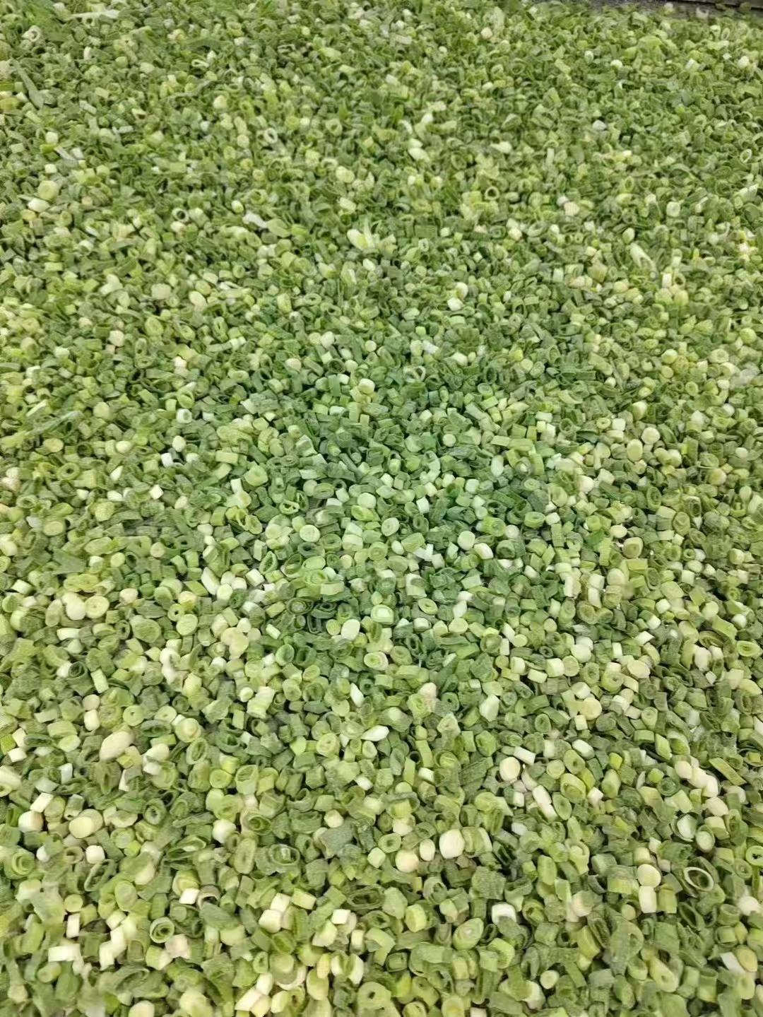 Hot Sale  4-6Mm Iqf Cut Green Onions  Shallot Onion For Stir-Fry  Frozen Green Onions