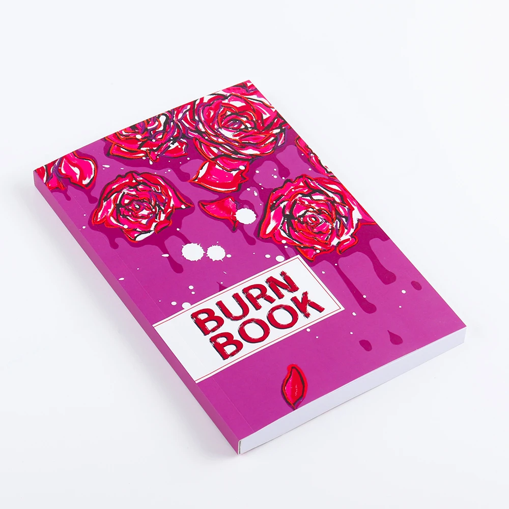 Pink Aesthetic Burn Book Inspired Journal Witty Journal for Mean Girl