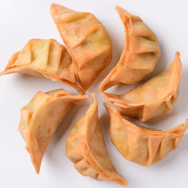 Frozen Japanese Chinese  Fried Gyoza Dumpling Jiaozi with Halal
