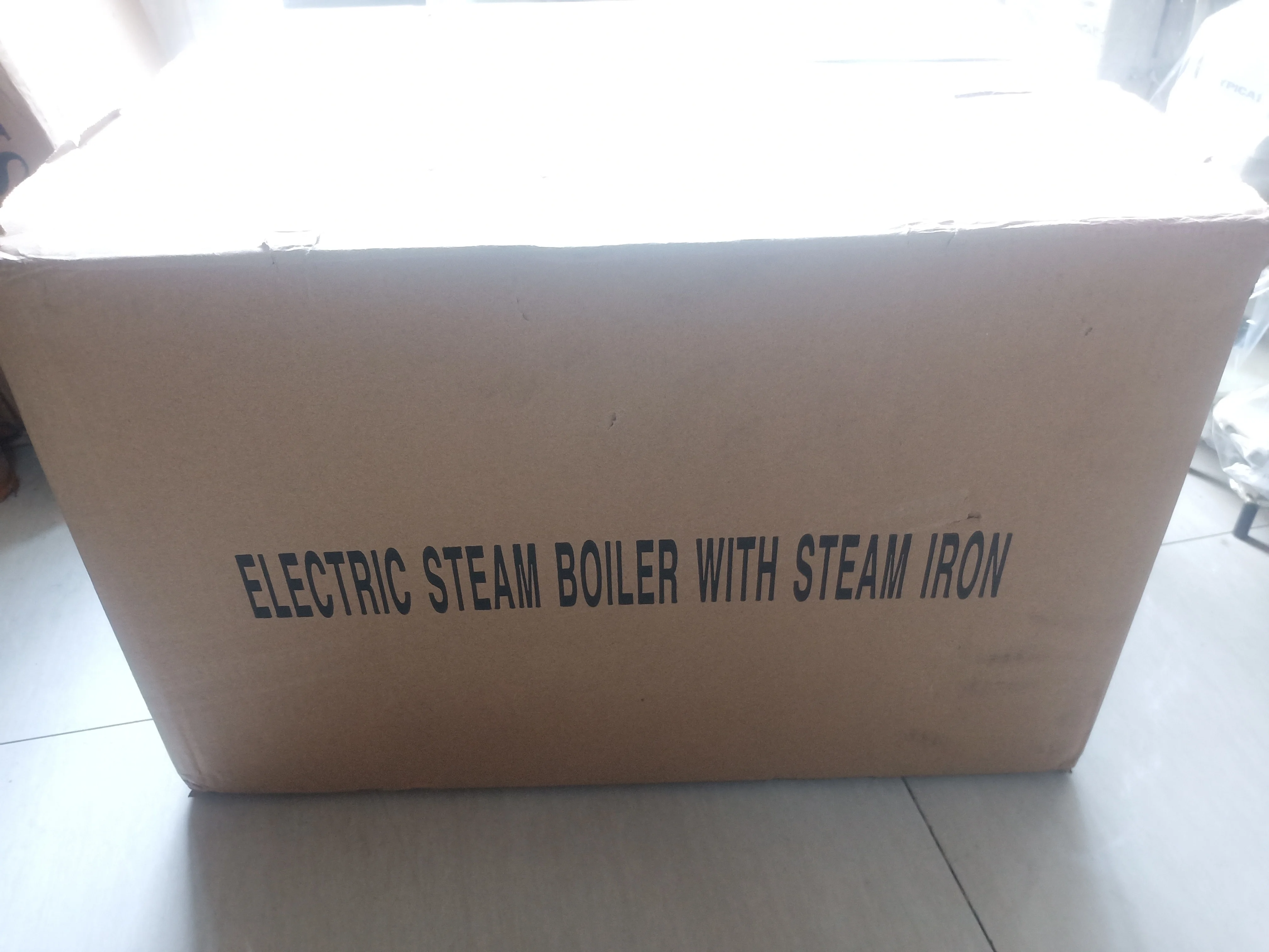 Electric steam boiler with steam iron small electric steam boiler with iron bucket with good price hot sell on 2022 year