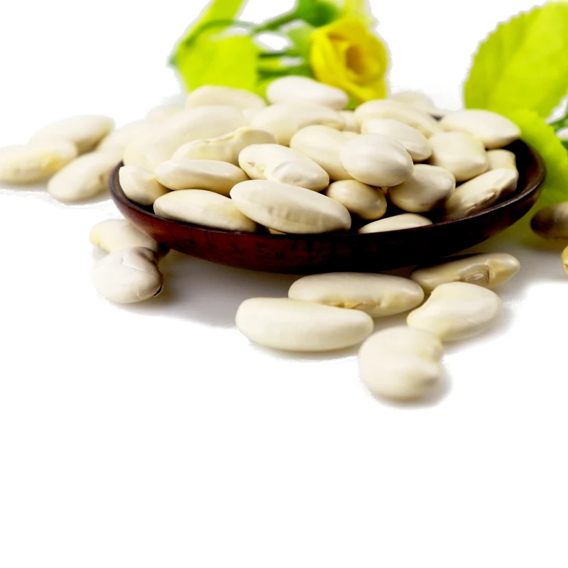 Best Big White Bean Dried White Kidney Bean Sugar Bean