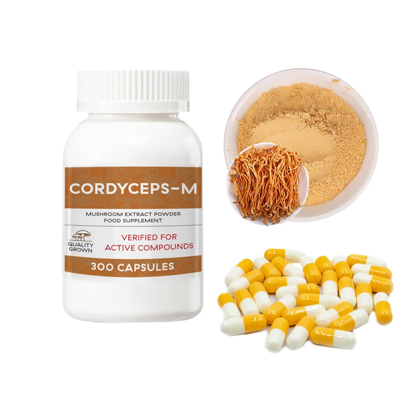 Customized Logo Cordyceps militaris capsules price cordyceps militaris powder cordyceps mushroom capsules