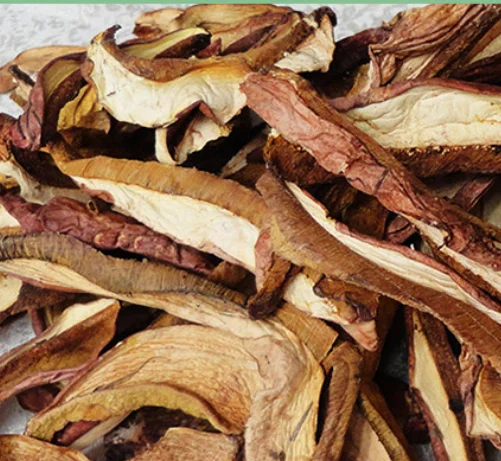 
Wild dried Boletus speciosus Frost mushrooms Boletus queletiischulz for food 