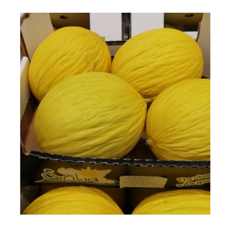 Свежие фрукты из итальянской Сицилии, свежие желтые дыни