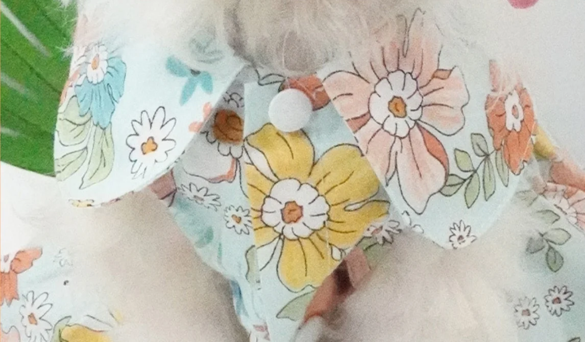 Customized Doll Collar Cute Print Group Brand Designer Luxury Dog Clothes For Large Dog