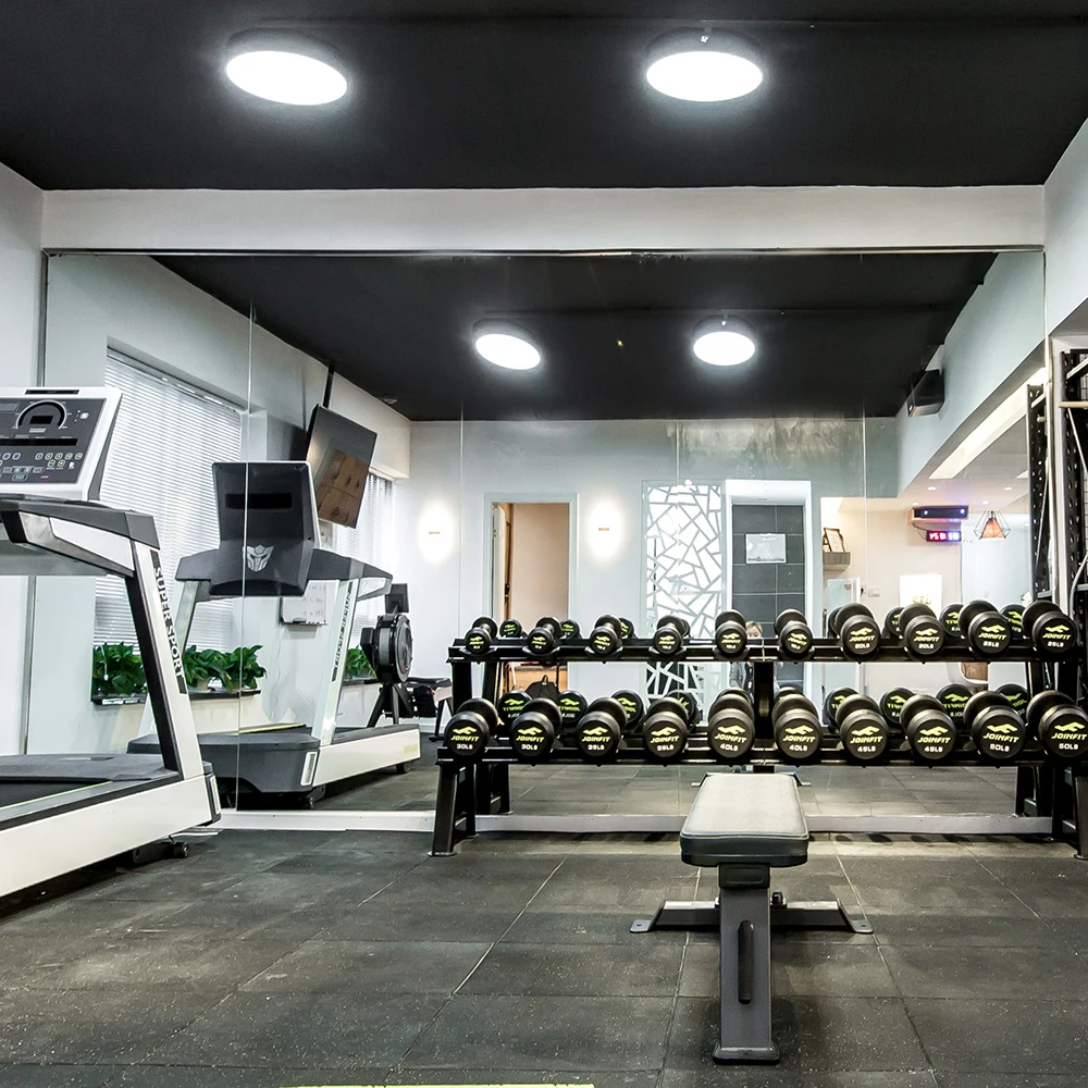 Wholesale Large Vinyl Backing Safety Mirror Glass for Gym /Dance /Yoga Studio Wall