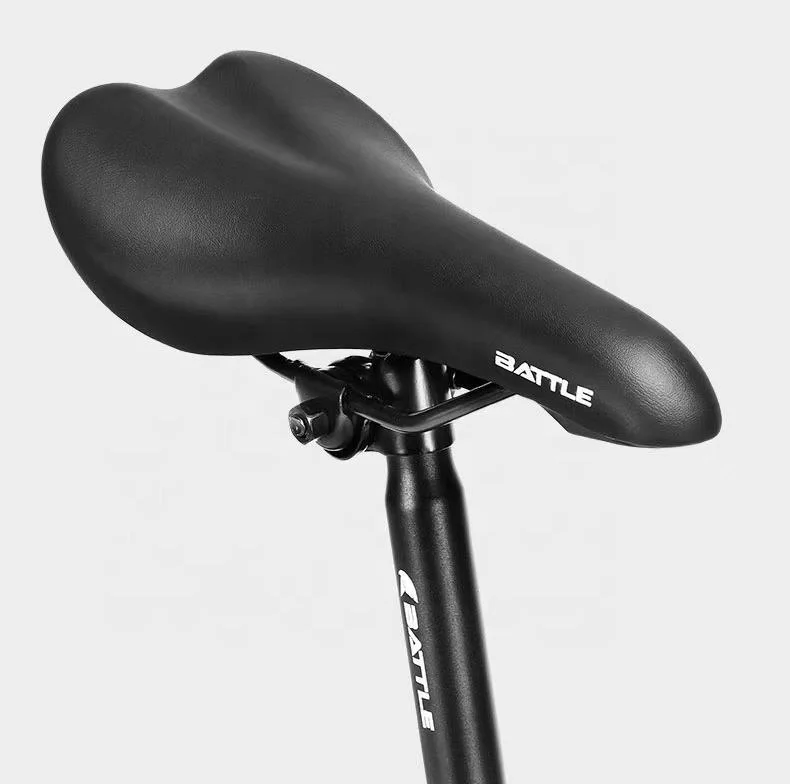 Custom 27 Inch Aluminum Alloy Sports Electric Mountain Bike Full Shockingproof Frame