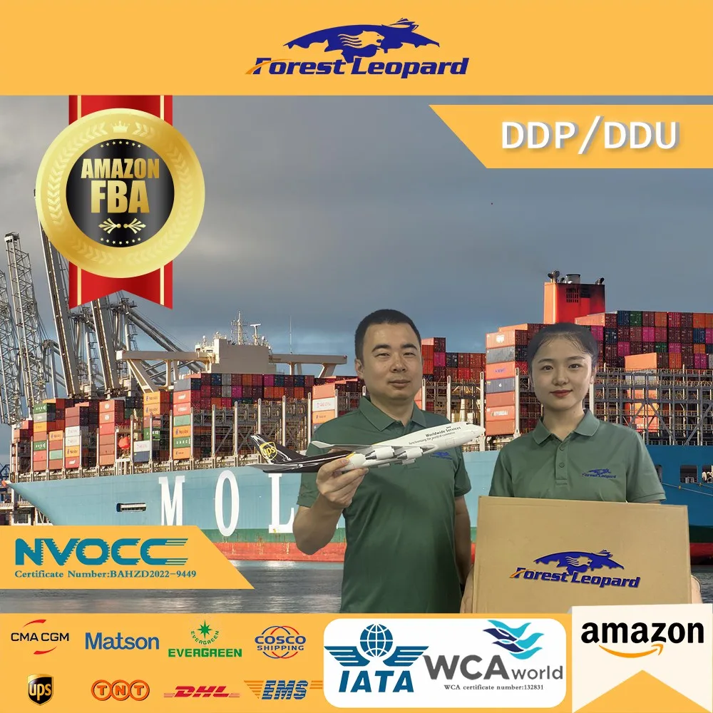 Sea Freight Forwarder From China To USA UK Australia United Kingdom Europe America DDP FBA  Shipping
