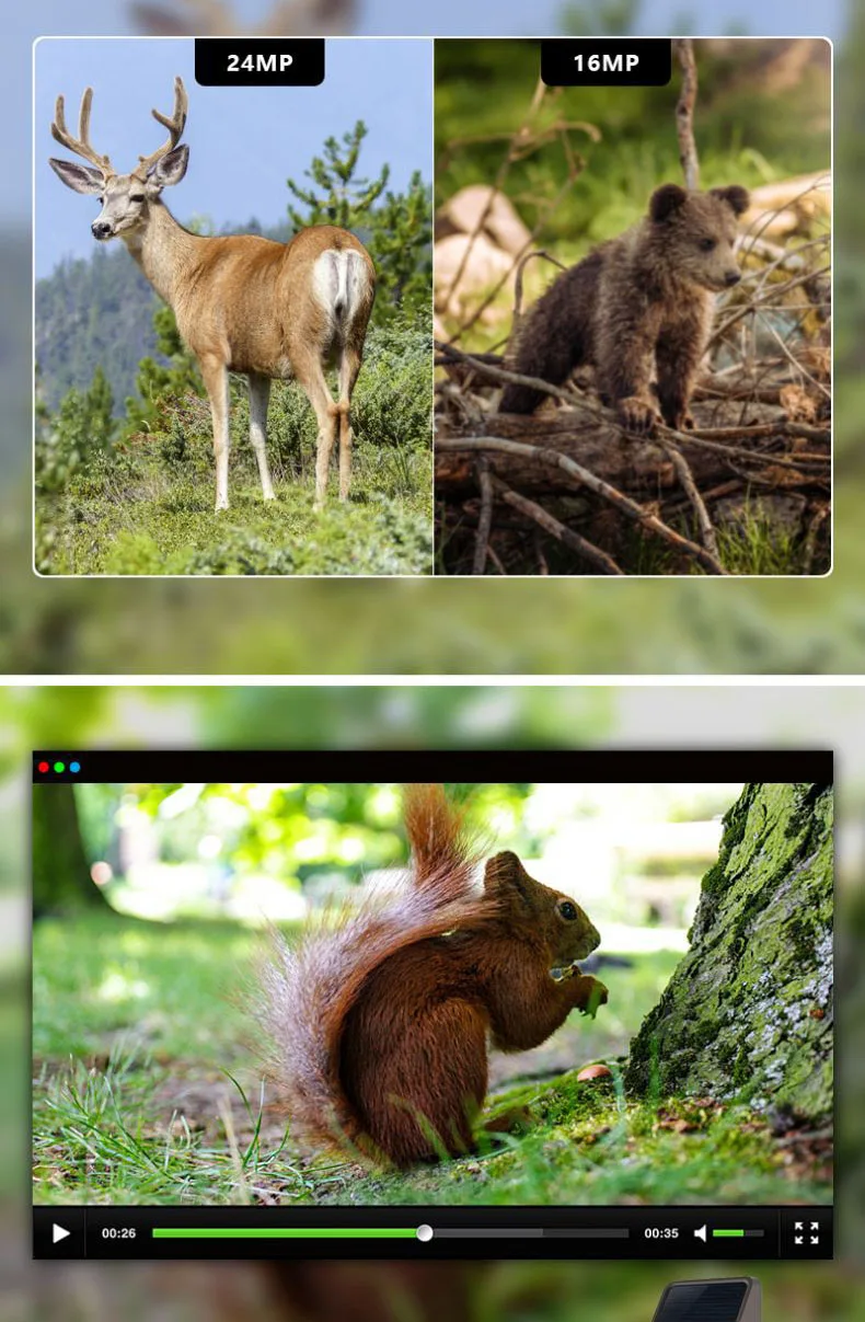 New Design Wildlife Outdoor Waterproof Night Vision Solar Thermal Imaging Hunting Camera Infrared Camera