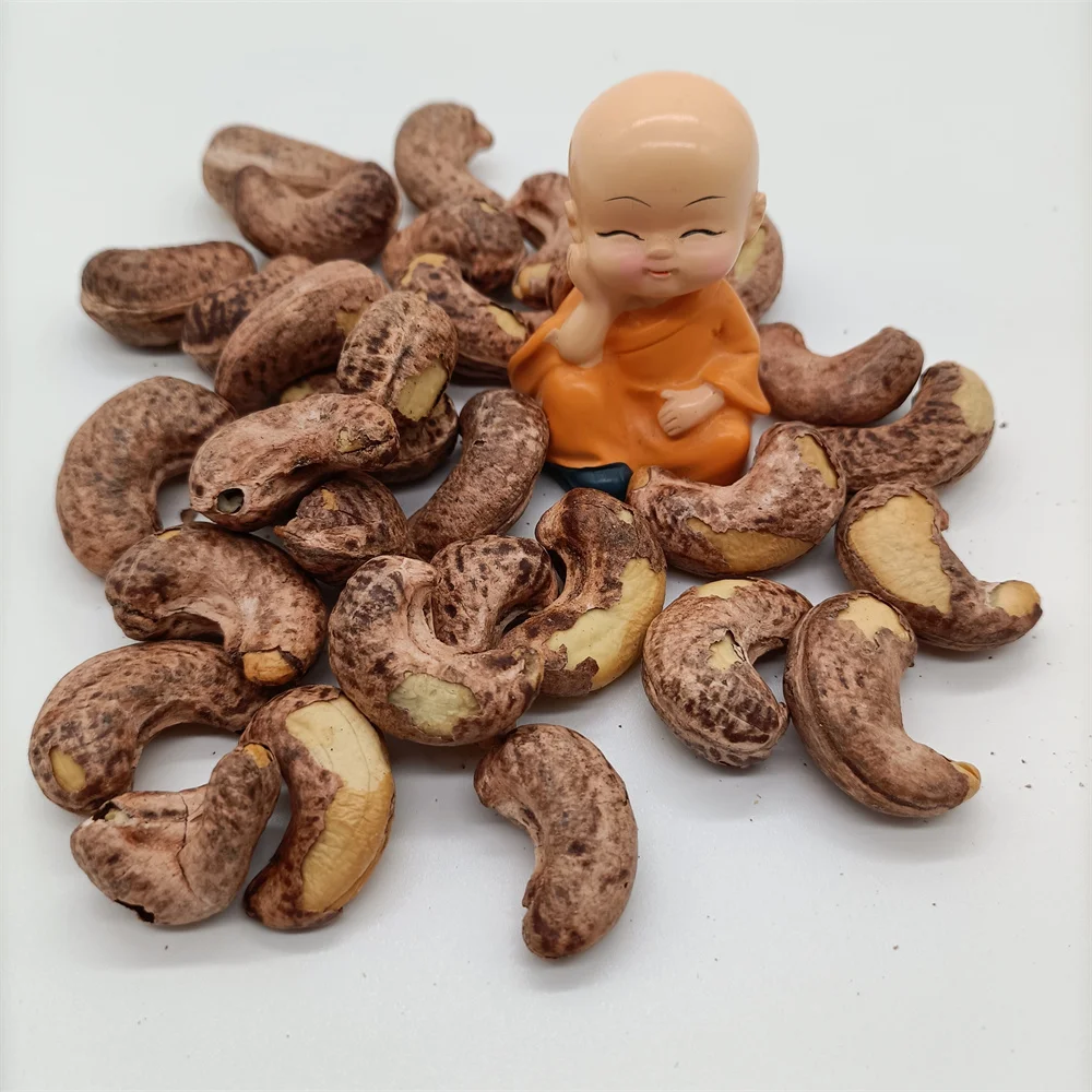 High Quality Raw Cashew Nuts with Best Price