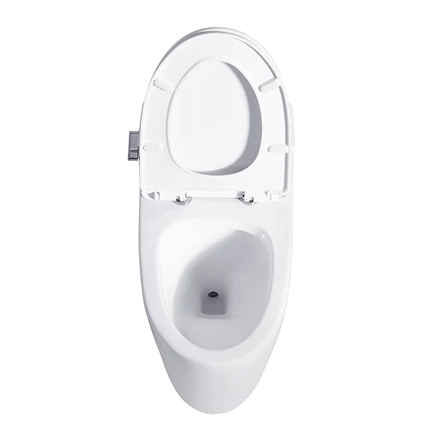  Сифон Flush большой размер R & T спускной клапан для туалета керамический Нижний резервуар воды