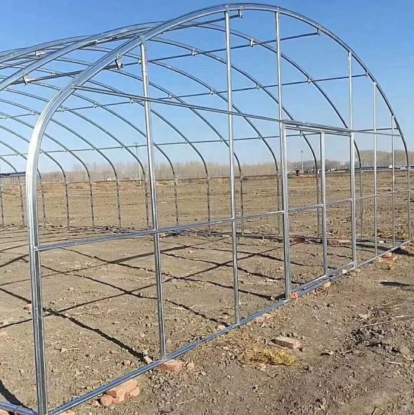 In Stock Fast delivery Commercial Hydroponic Plastic Film Green House Holland greenhouse tunnel plastic greenhouses for sale