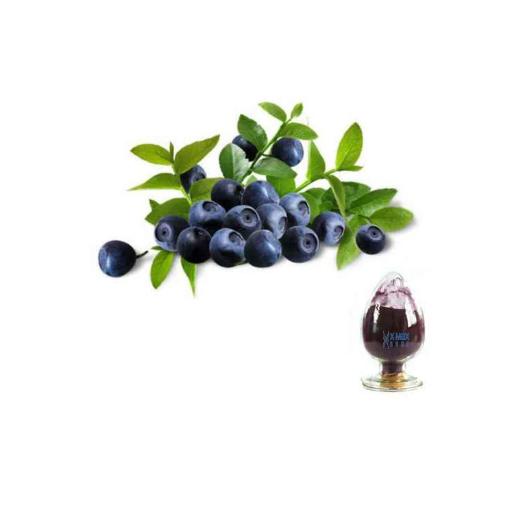 
Factory wholesale blueberry extract powder/blueberry drink/blueberry powder 