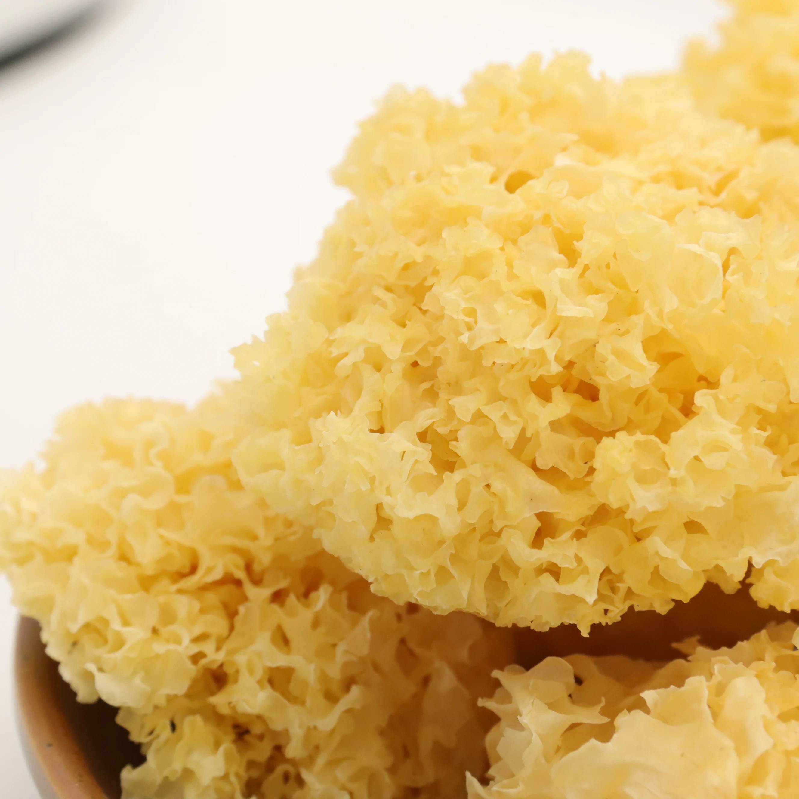 Оптовая продажа, сушеный гриб тремеллы, органический Золотой грибок тремеллы