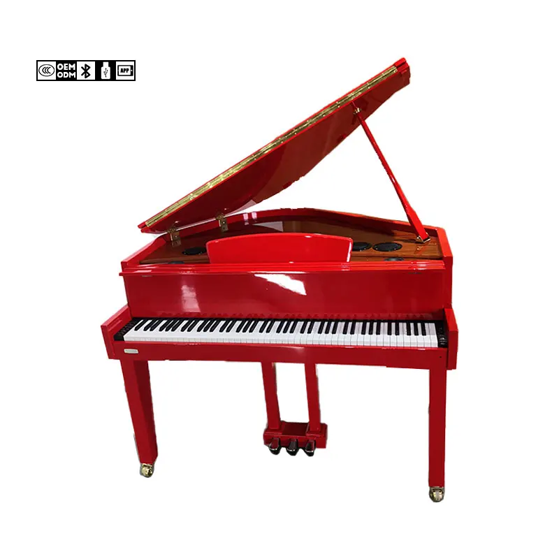 
China Stage 88 Keys Pianos Decorative Worlde Digital Piano 