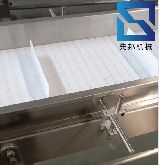 Durable 304 Stainless Steel Conveyor Cart Fresh Produce PVC Rubber Bearing Gear Engine Fruit Beverage Handling Durable Fruit Bag