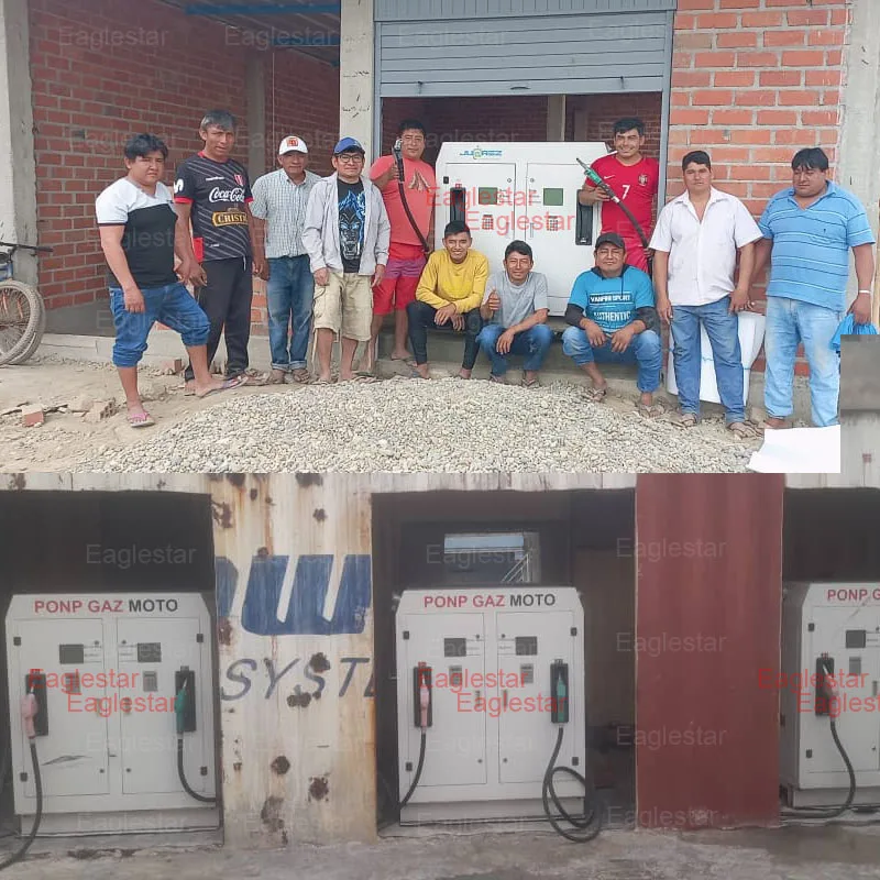 2000 L Single Nozzle Portable Diesel Container Fuel Station Mobile Fuel Dispenser Mini Micro Gas Petrol Filling Station