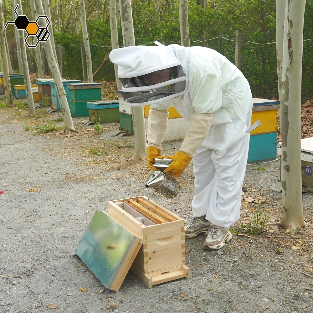 5 Frames beehive nuc bee box wooden langstroth nuc box cardboard nuc box bee