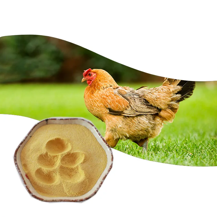 Feed Additive Inhibit Intestinal Pathogens Glucose Oxidase Enzyme Powder 10000U/g