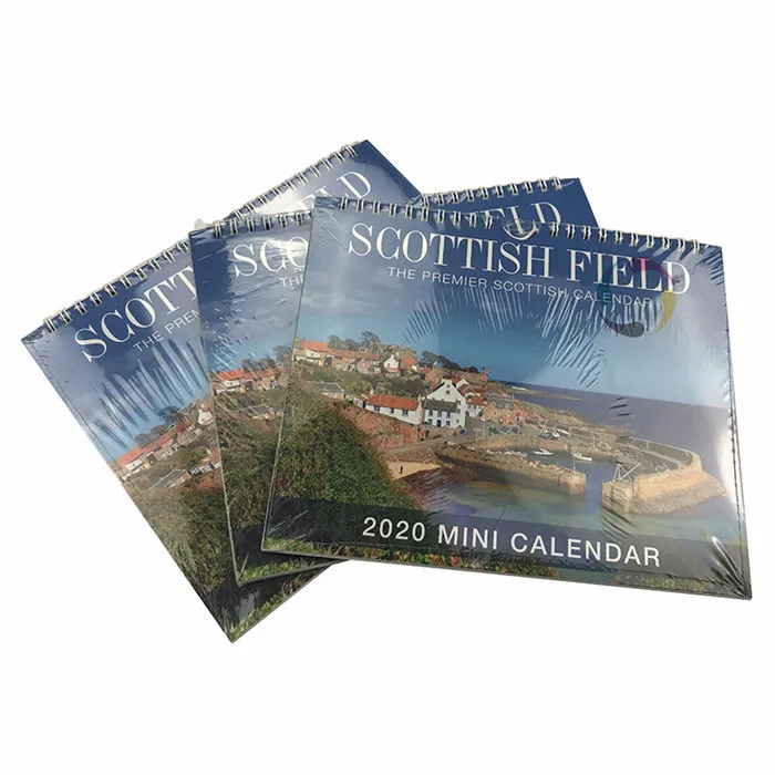 Индивидуальные раскраски 12 месяцев планировщик календарь настенный 2024 высокого качества