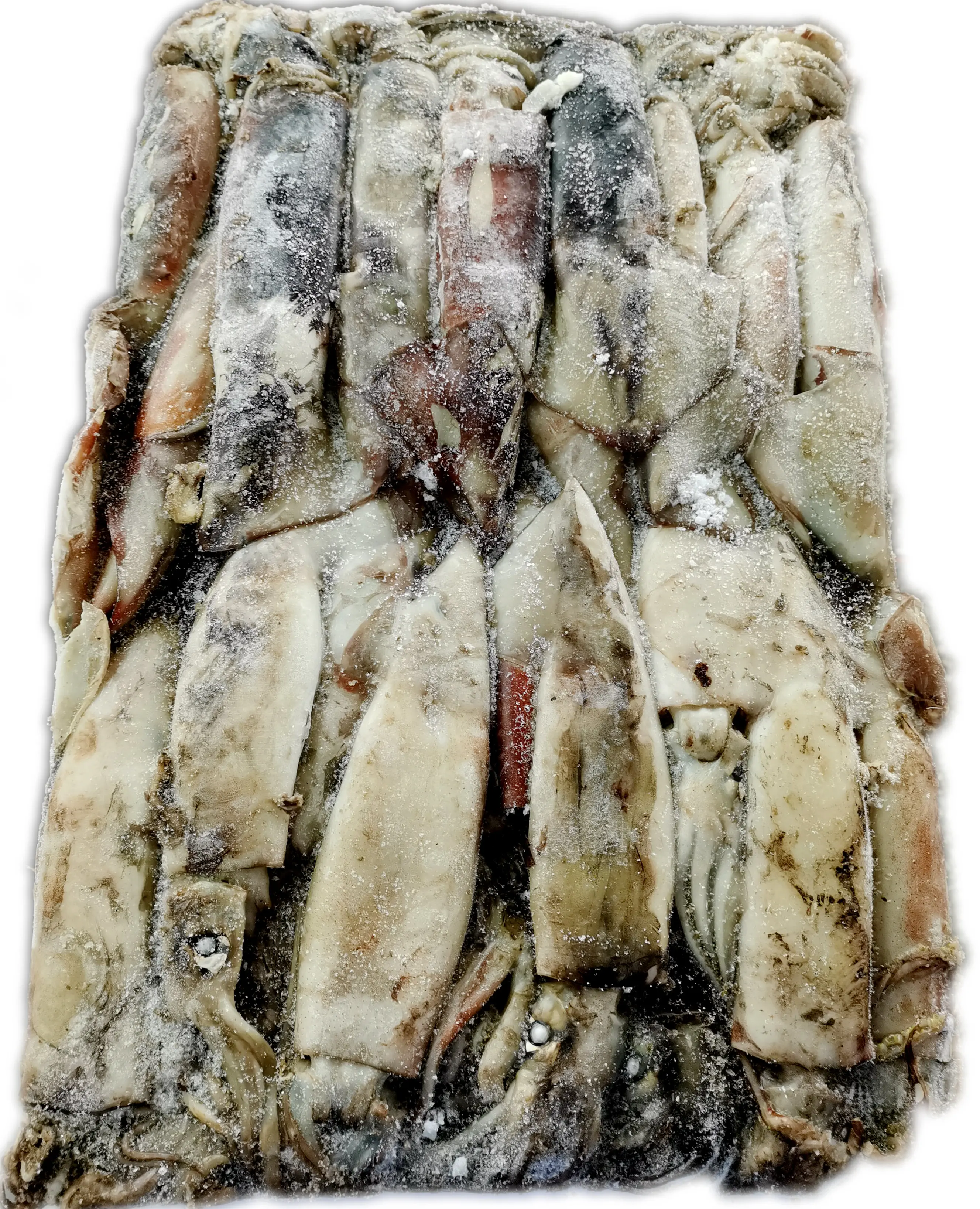 
Frozen Peruvian squid PERU giant squid calamari giga squid 